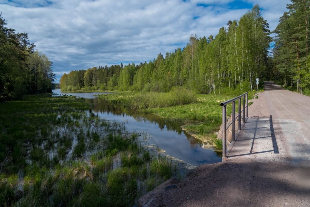 Viehättävä metsäpolku ja kävelysilta rauhallisen joen yli Kareliassa, Venäjällä.