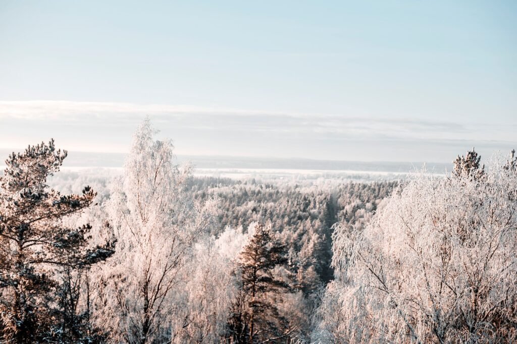 Upeaa ilmakuvaa lumisesta metsästä talvella, jäätyneet puut ja laaja luonnonkauneus esillä.