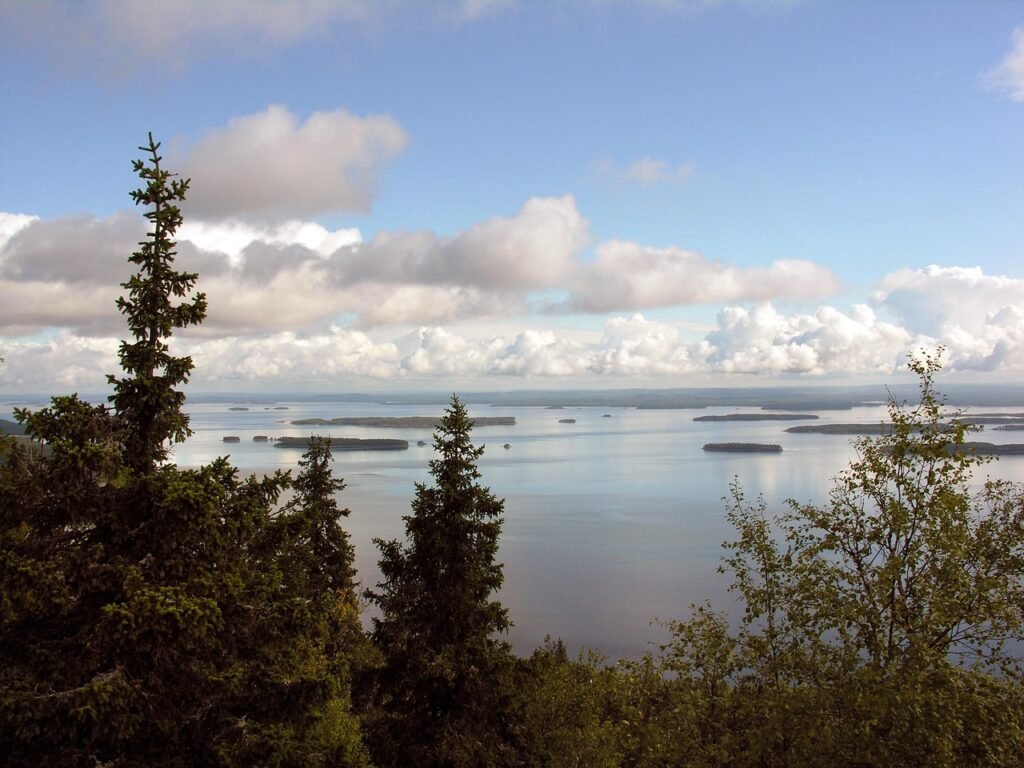 finland, luonne, koli, pielinen, järvi, kansallismaisema, kesä, pilvet