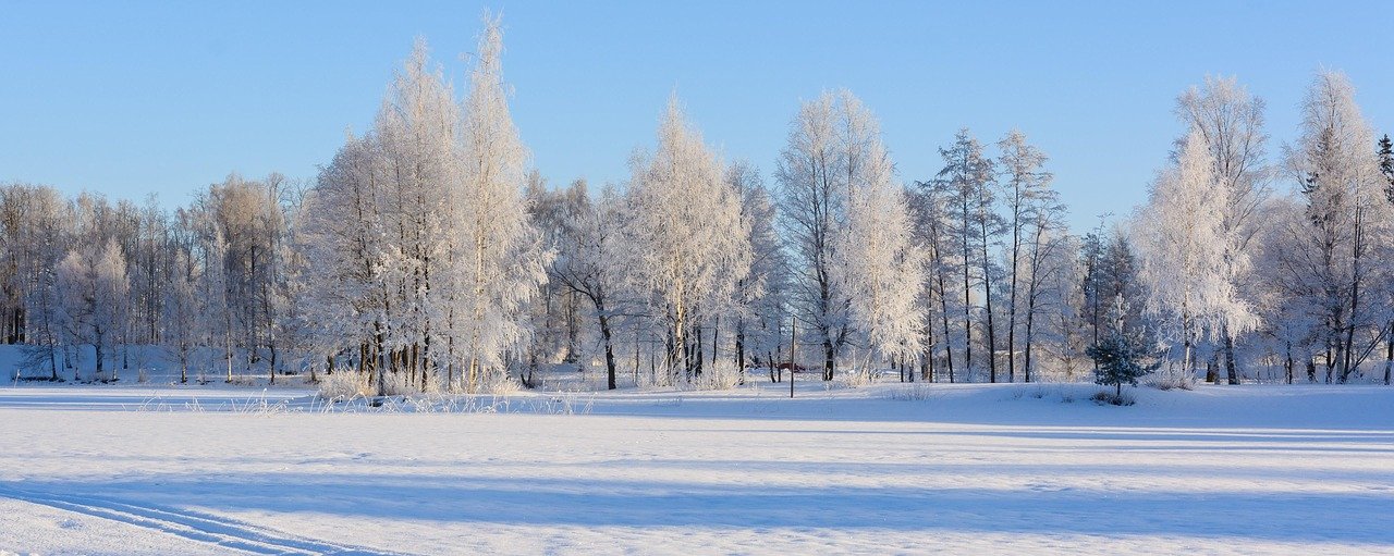 talvi, kuura, kuopio, luonne, lumi