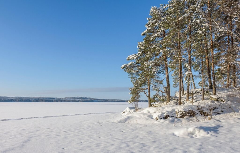 järvi, jäätä, luonne, kuopio, talvi
