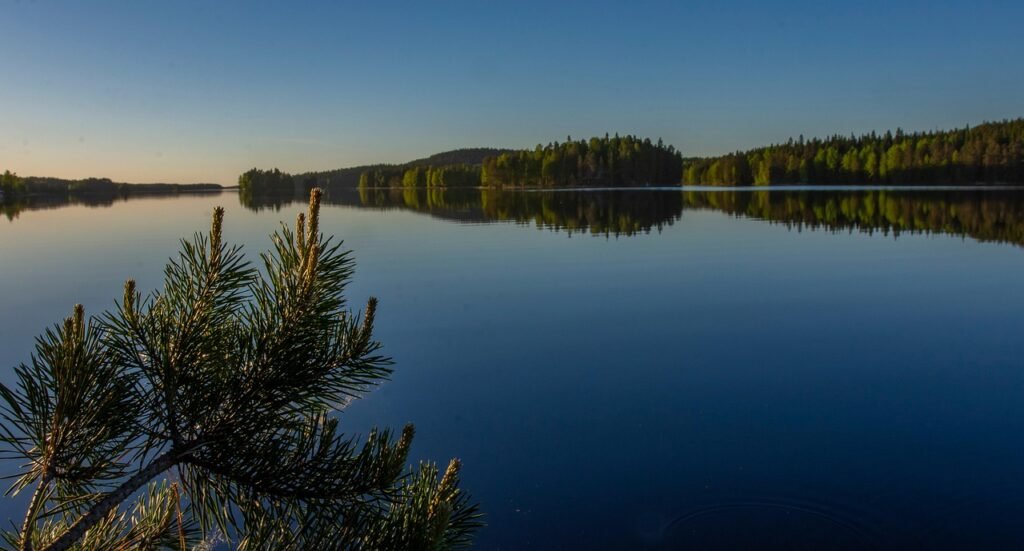 illalla, luonne, rauhoittaa, järvi, mänty, lahti, kuopio, ulkona