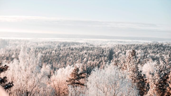 Yleisimmät virheet, kun suunnittelet tapaamisia ja verkostoitumista Kajaanissa