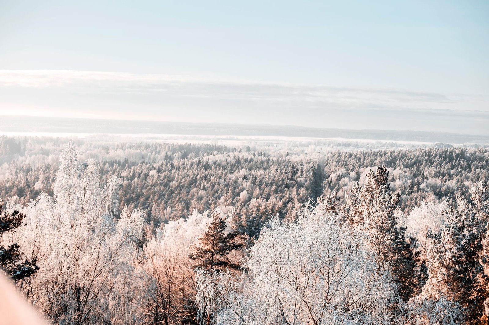 Upeaa ilmakuvaa, joka vangitsee pakkasessa olevan talvimetsän, joka on peitetty lumella ja jäällä kirkkaan taivaan alla.