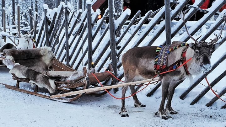Miten escort muuttuu paikassa Rovaniemi: Yhteiskunnallinen ja paikallinen murros Lapissa